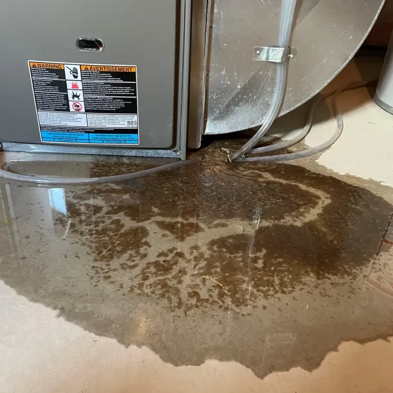 Appliance Leak Cleanup in Edgar, WI