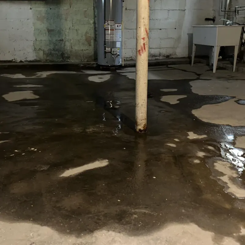 Emergency Water Extraction And Removal in Edgar, WI